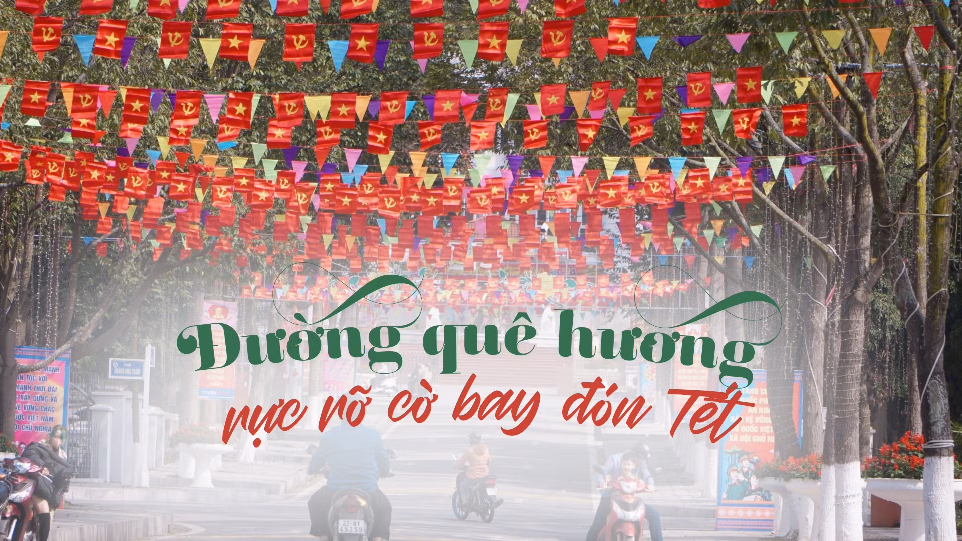 Đường quê hương rực rỡ cờ đỏ sao vàng đón Tết