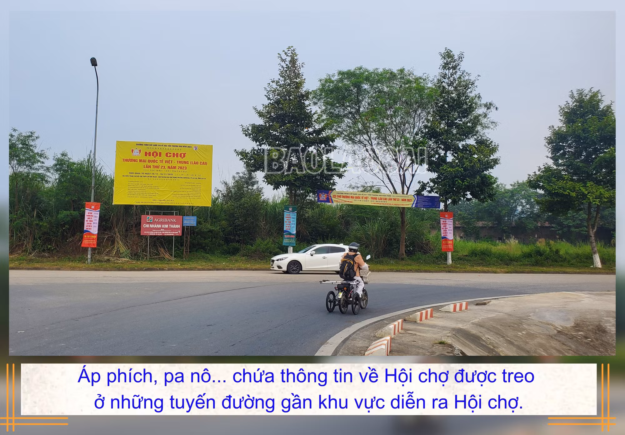 HC (2).jpg