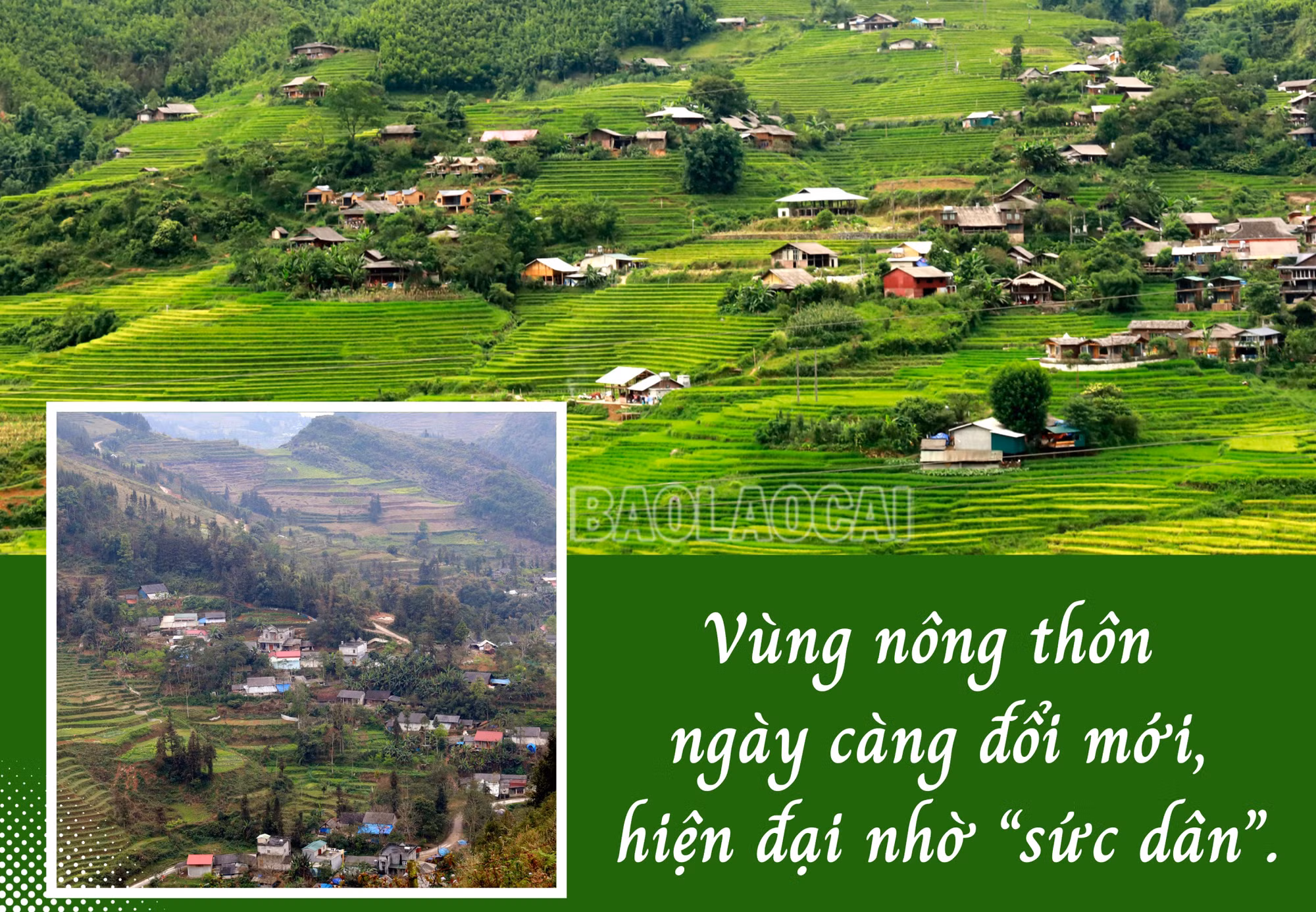 Mẫu nông nghiệp.jpg