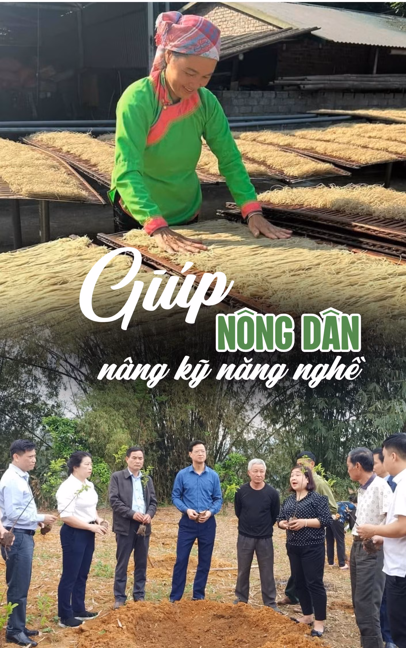 úp (2).png