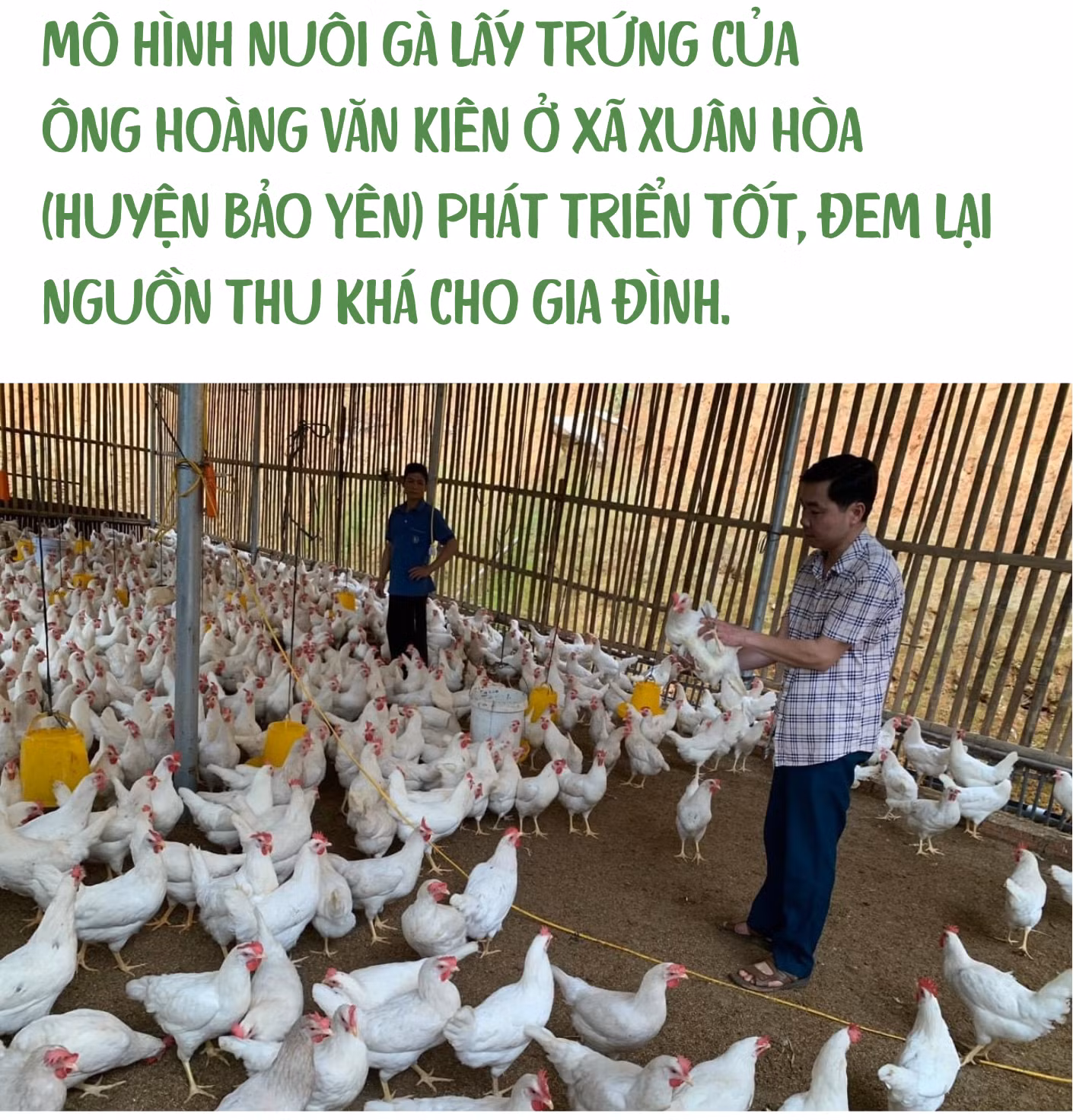 úp (3).png