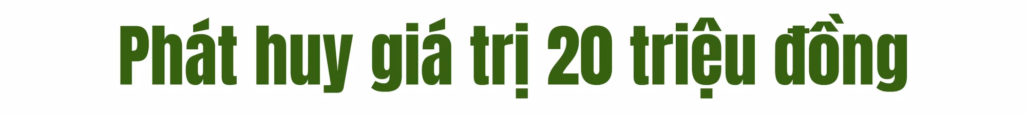 T 2.jpg