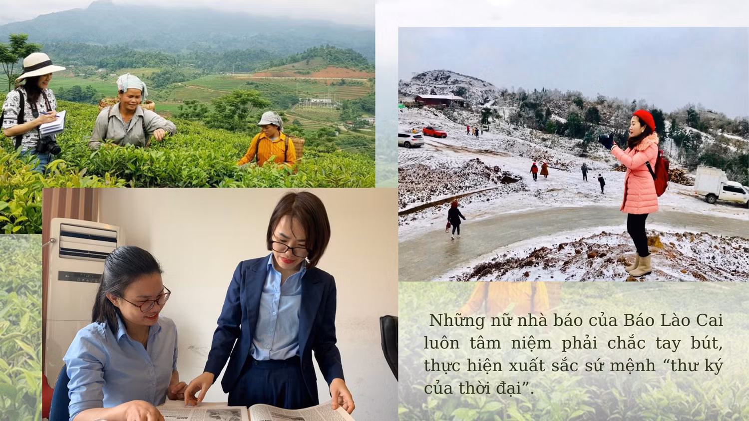 1a.jpg