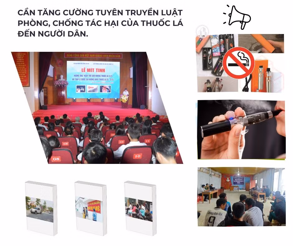 TL3.jpg