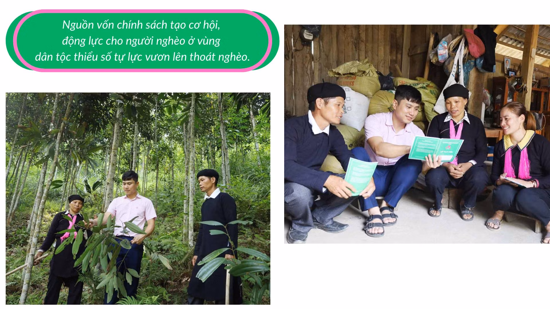 Thái Niên Nhiều giải pháp giảm nghèo bền vững.jpg