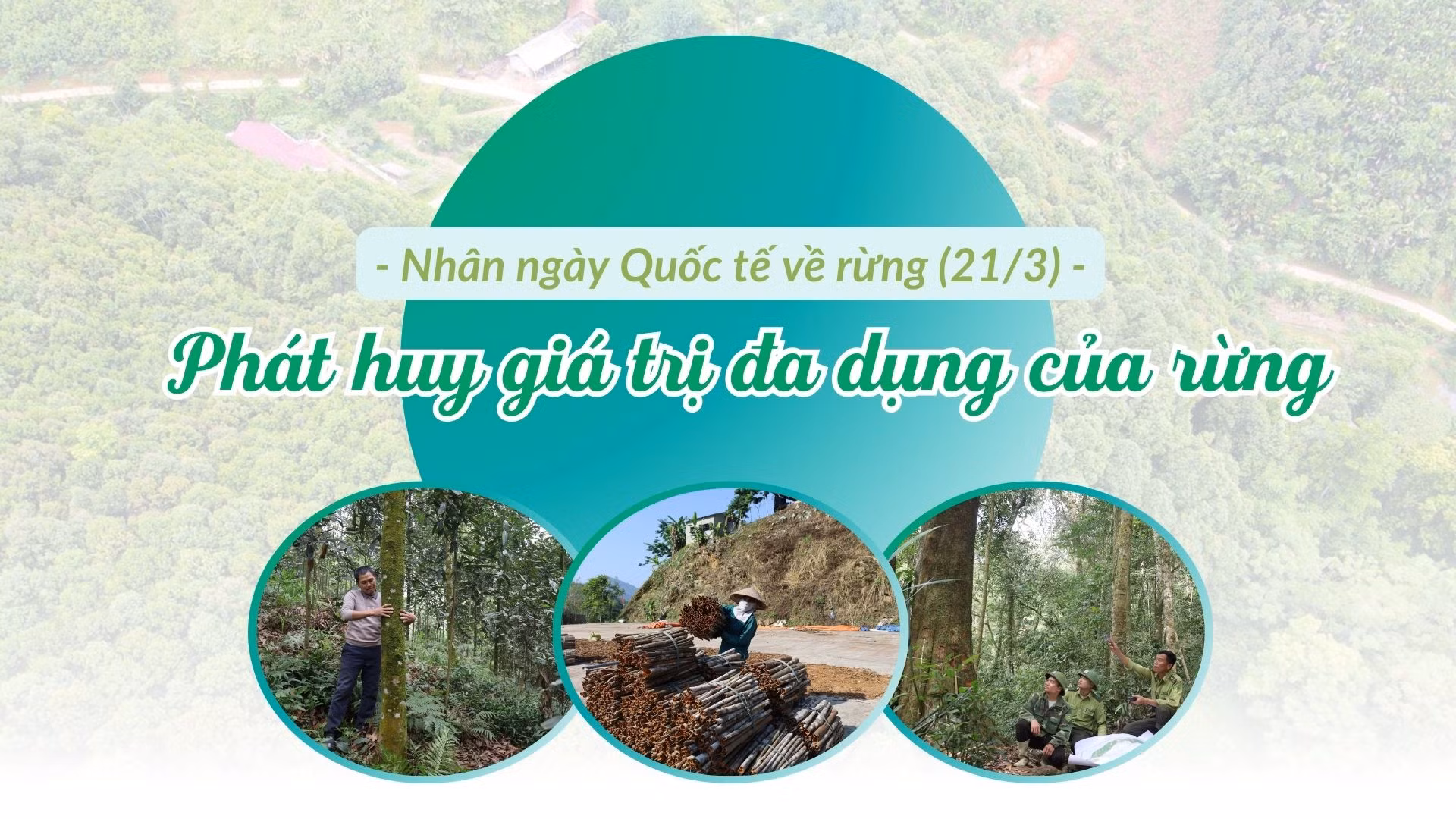 Phát huy giá trị đa dụng của rừng