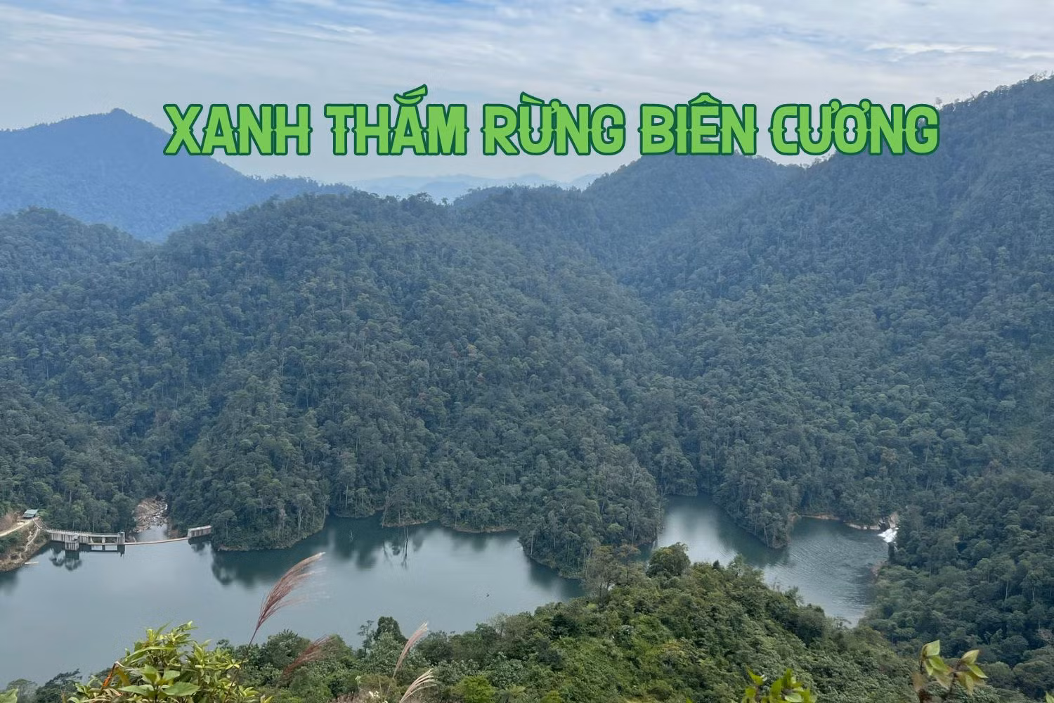 Xanh thắm rừng biên cương