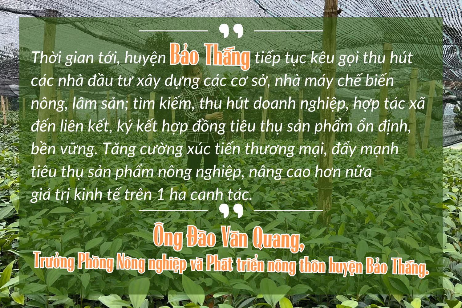 Phát triển nuôi cá “nhà giàu” ở Phúc Khánh (1).jpg