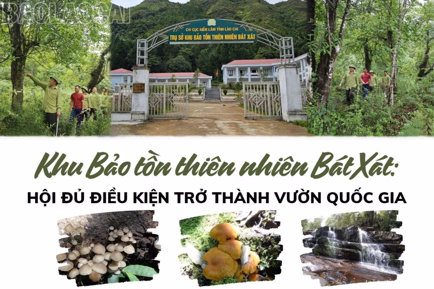 Khu Bảo tồn thiên nhiên Bát Xát: Hội đủ điều kiện trở thành vườn quốc gia
