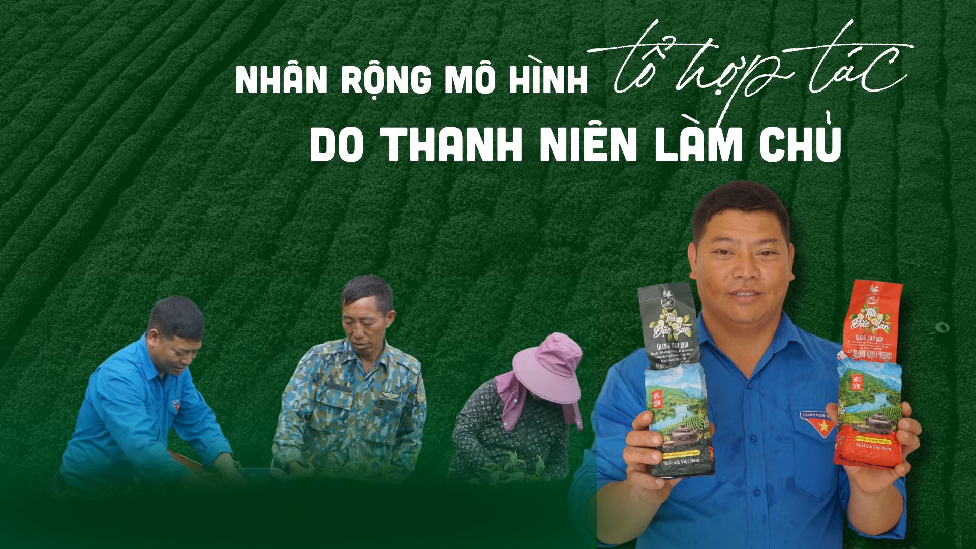 Nhân rộng mô hình tổ hợp tác do thanh niên làm chủ