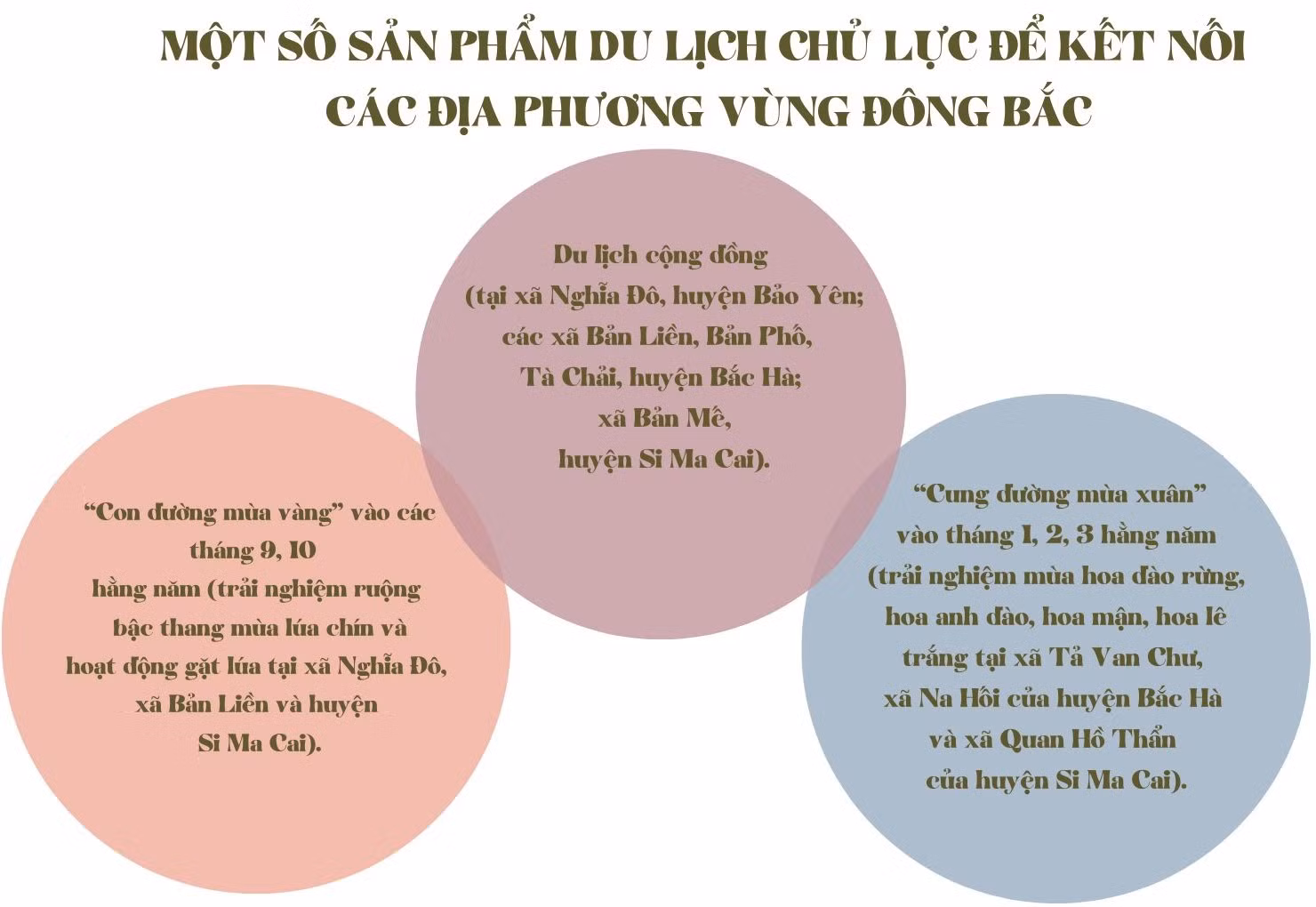 biểu đồ.jpg