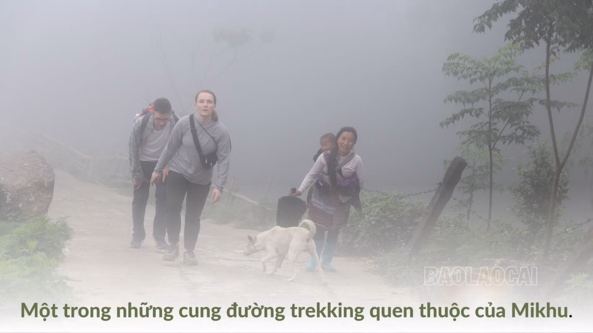 Những bước chân (3).jpg