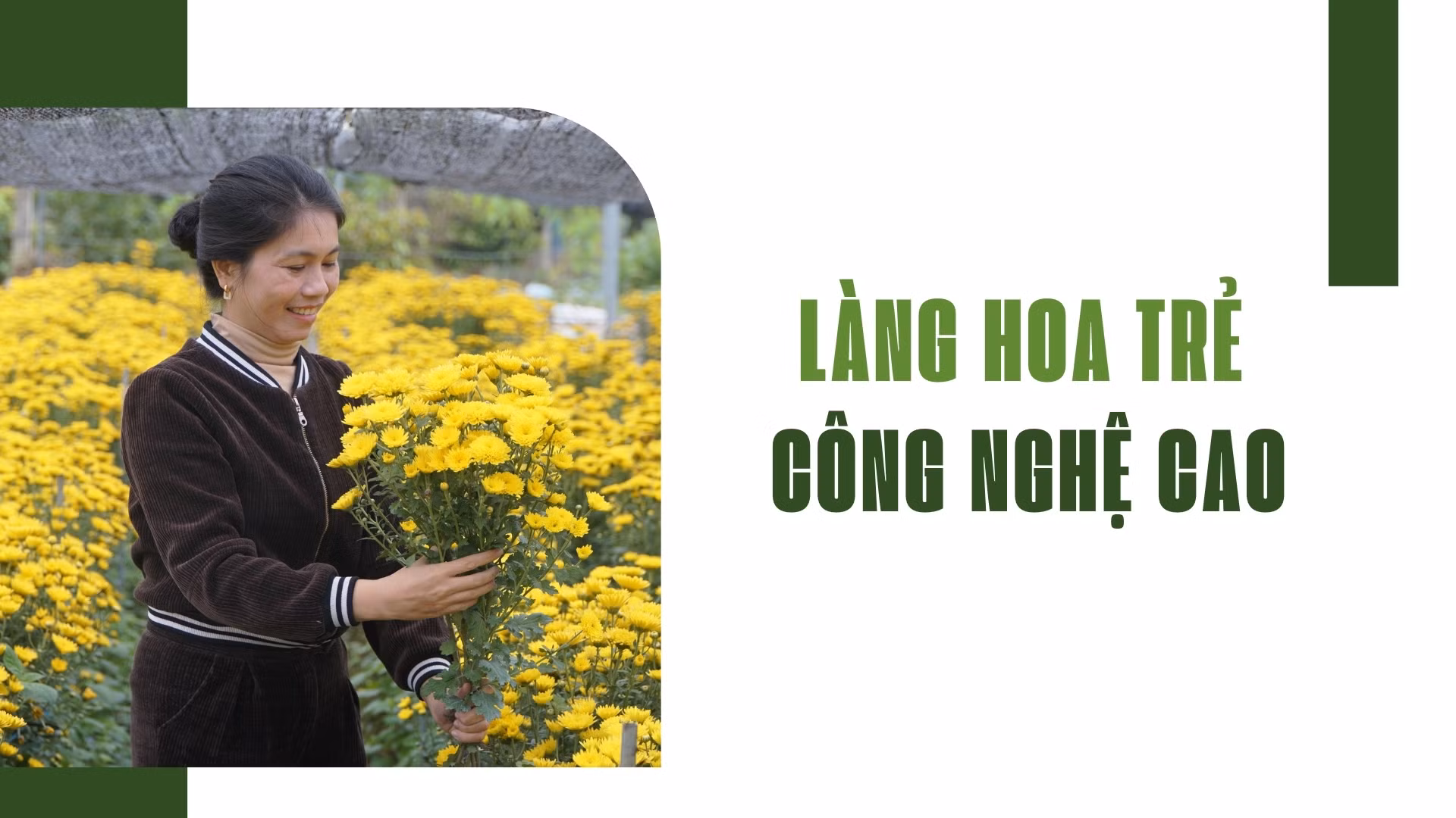 “Làng hoa trẻ” công nghệ cao