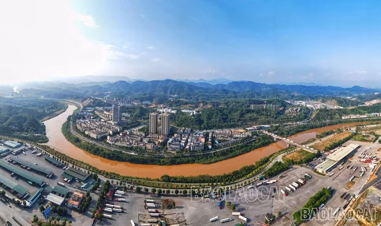 baolaocai-5-6485.jpg