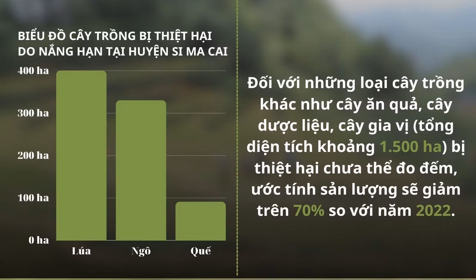 A8.jpg