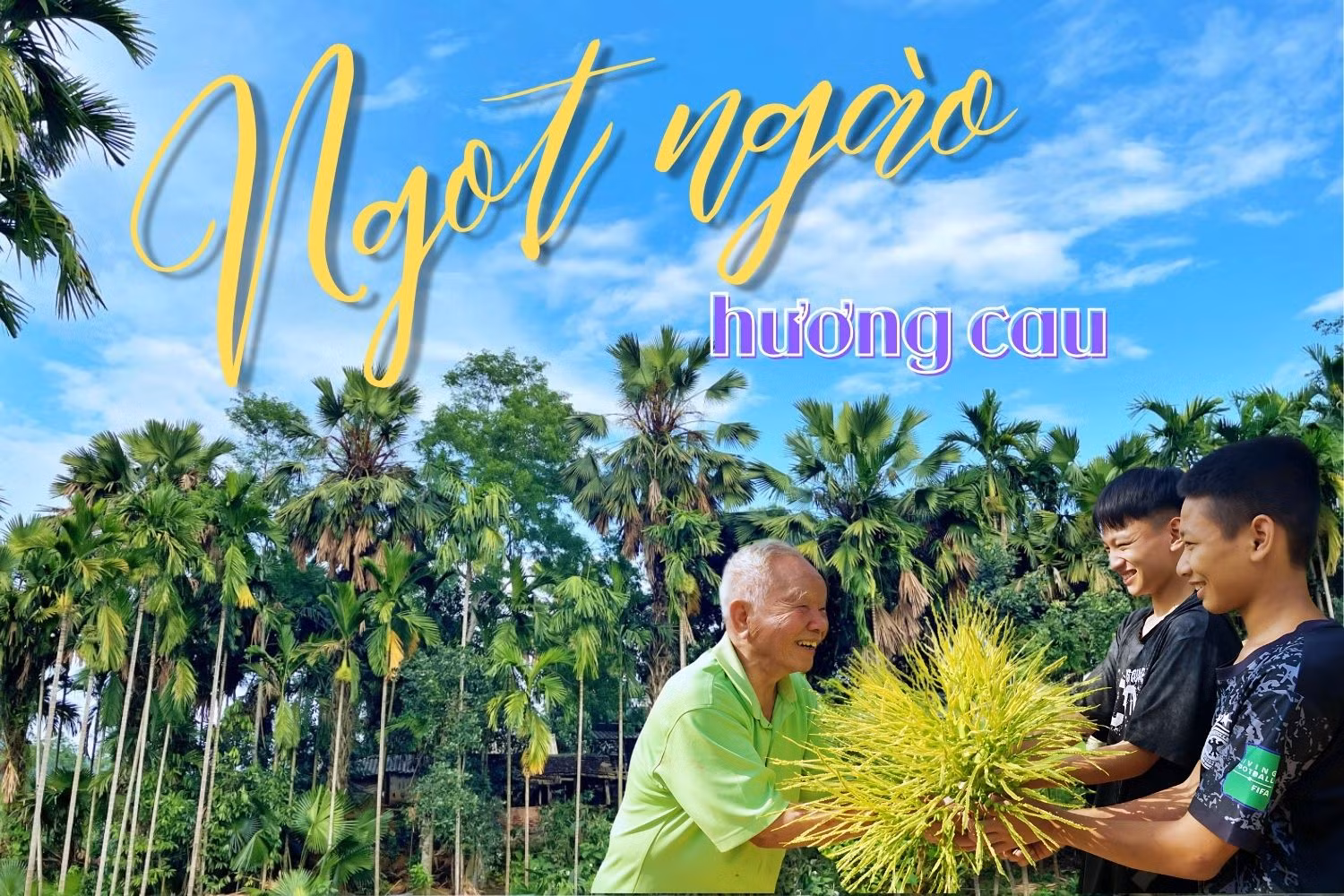 Ngọt ngào hương cau