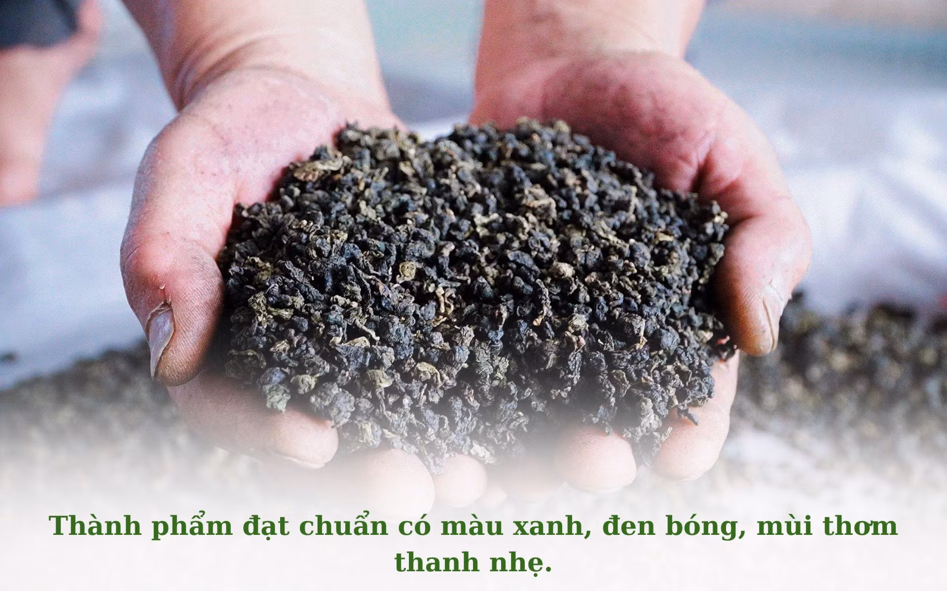 Chưa có tên (1920 × 1200 px) (19).jpg