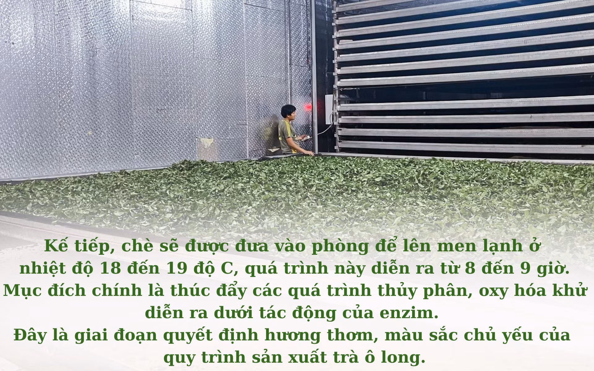 Chưa có tên (1920 × 1200 px) (25).jpg