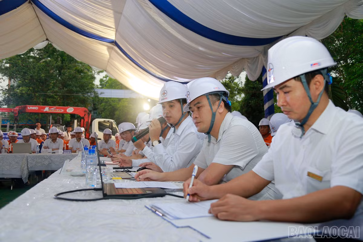 baolaocai_dientap (2).JPG