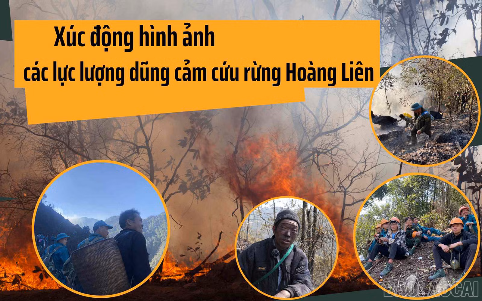 Xúc động hình ảnh các lực lượng dũng cảm cứu rừng Hoàng Liên