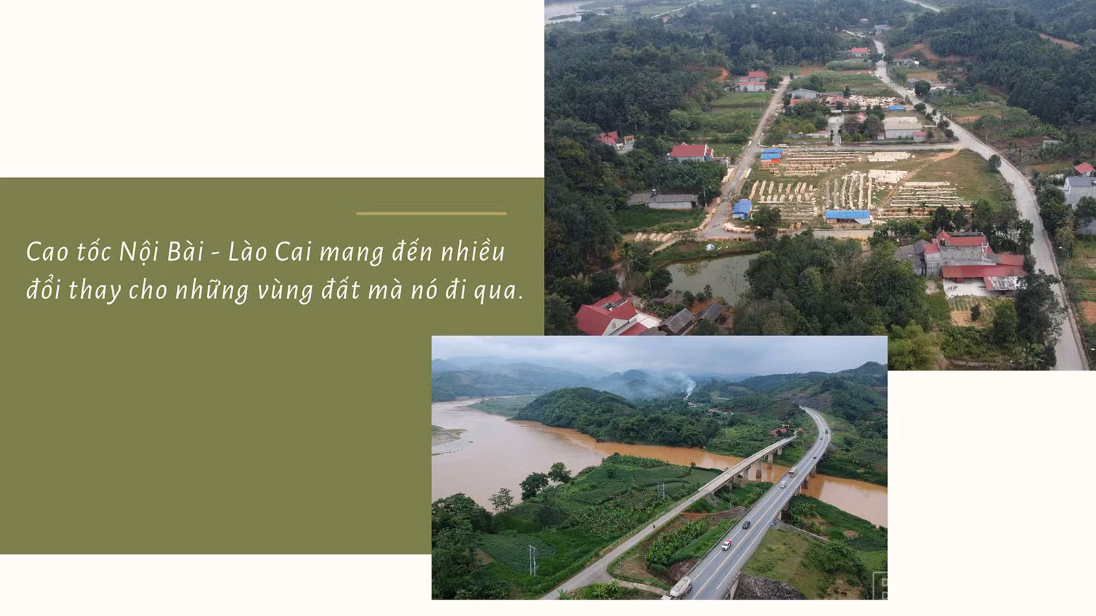 baolaocai_ctv.jpg