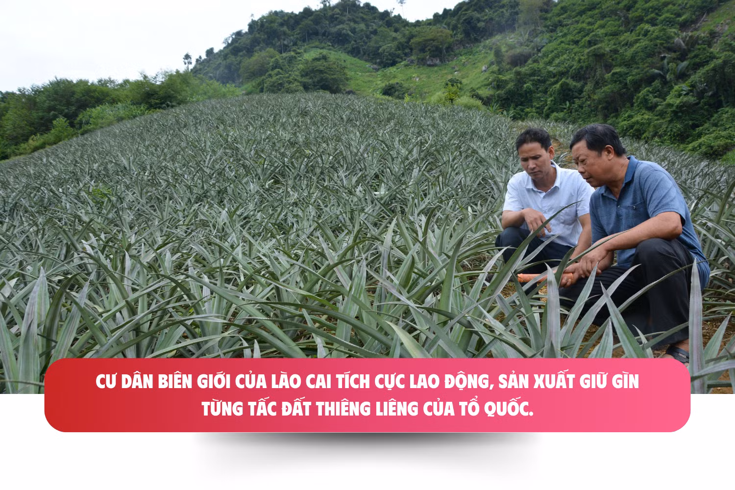 longform-bdbp-11-5958.png