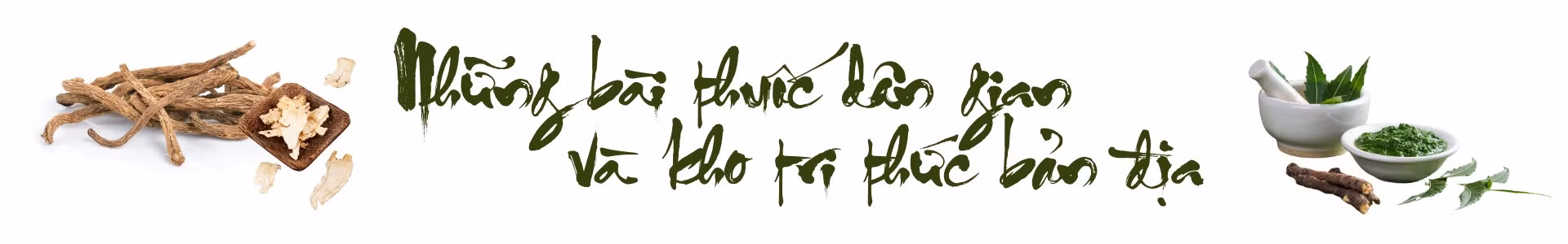 de-lao-cai-tro-thanh-trung-tam-duoc-lieu-quoc-gia1.png