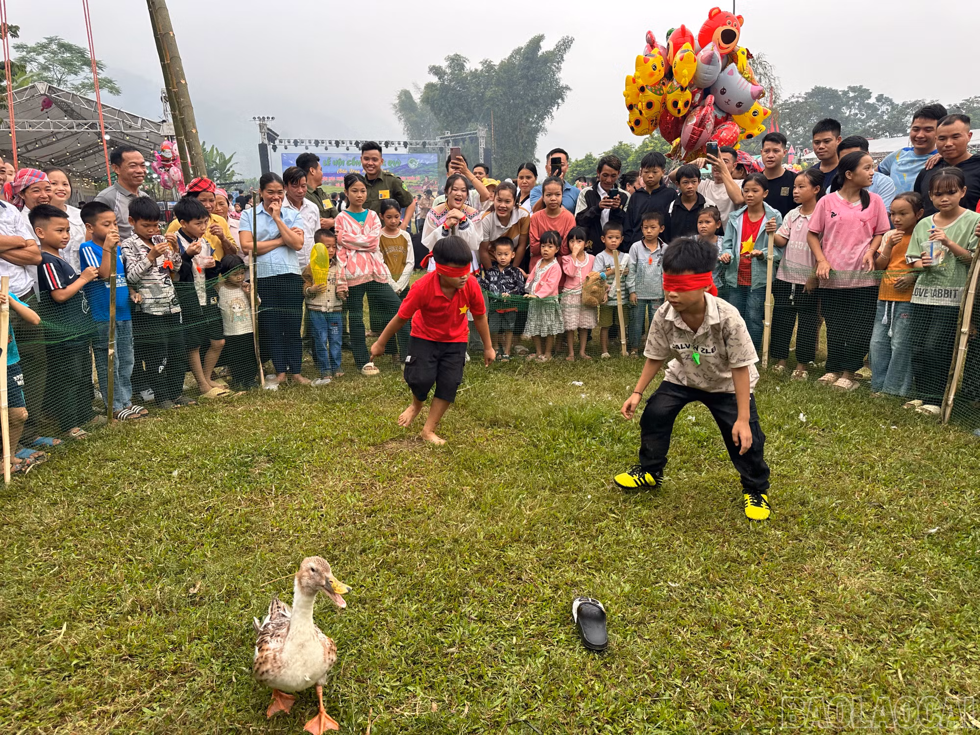 img-1618-3783.jpeg