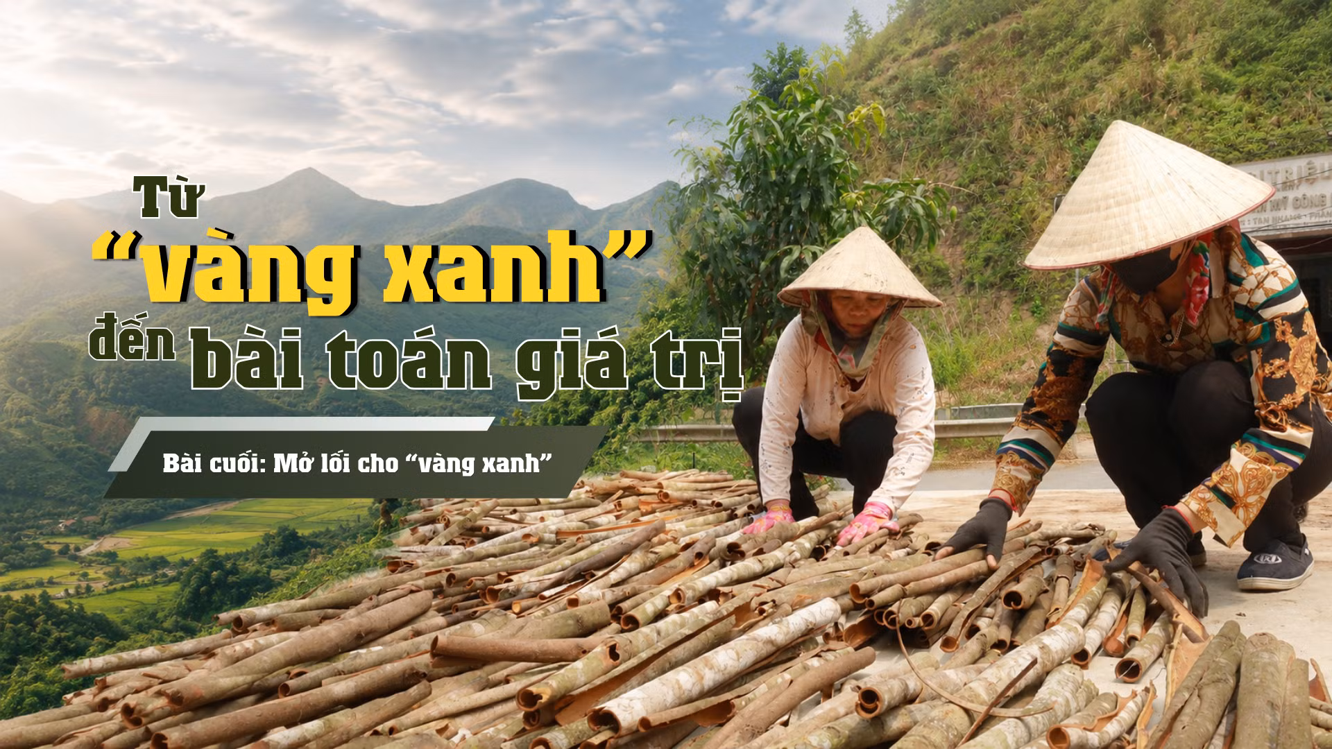 Bài cuối: Mở lối cho “vàng xanh”