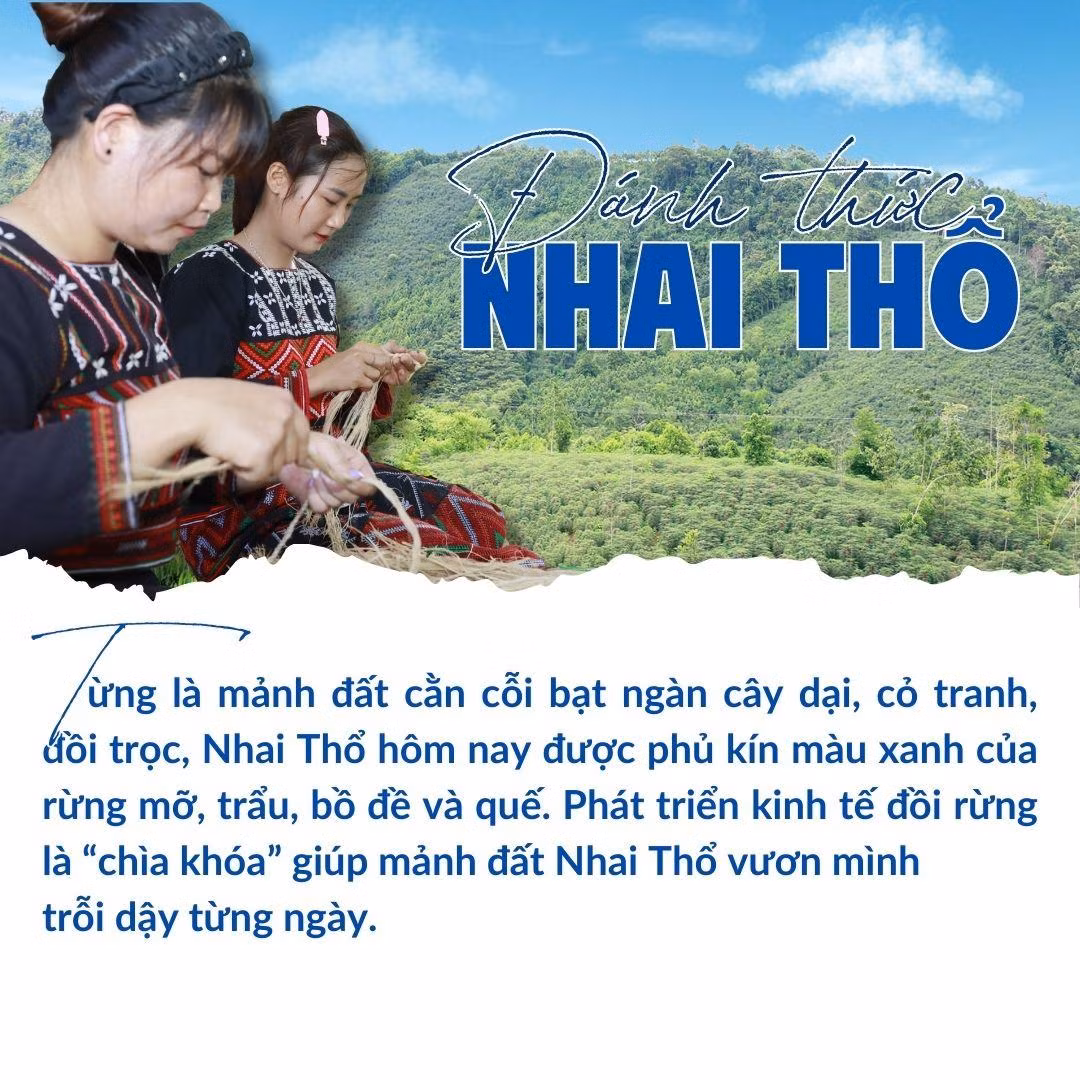 Đánh thức Nhai Thổ.zip - 1.jpeg