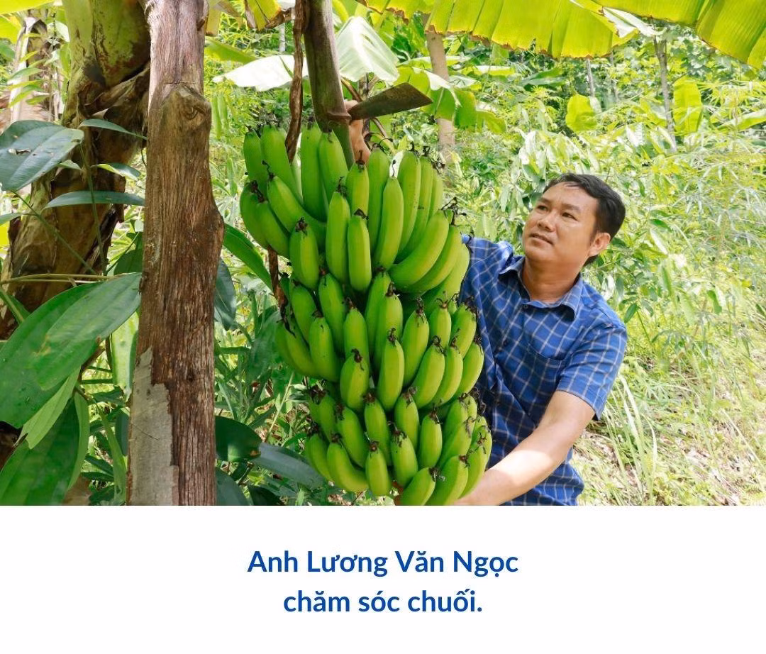 Đánh thức Nhai Thổ.zip - 9.jpeg