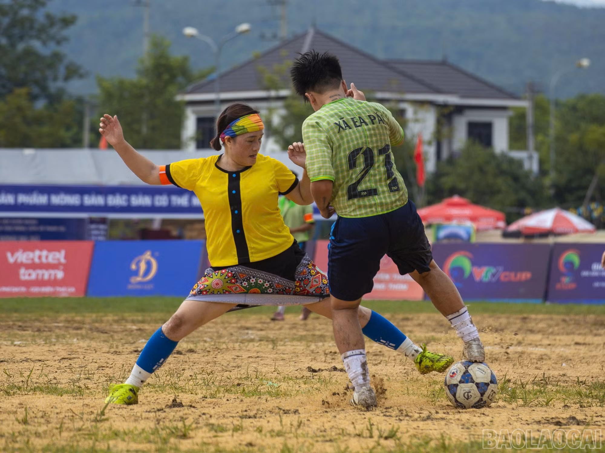 baolaocai-br_t13.jpg