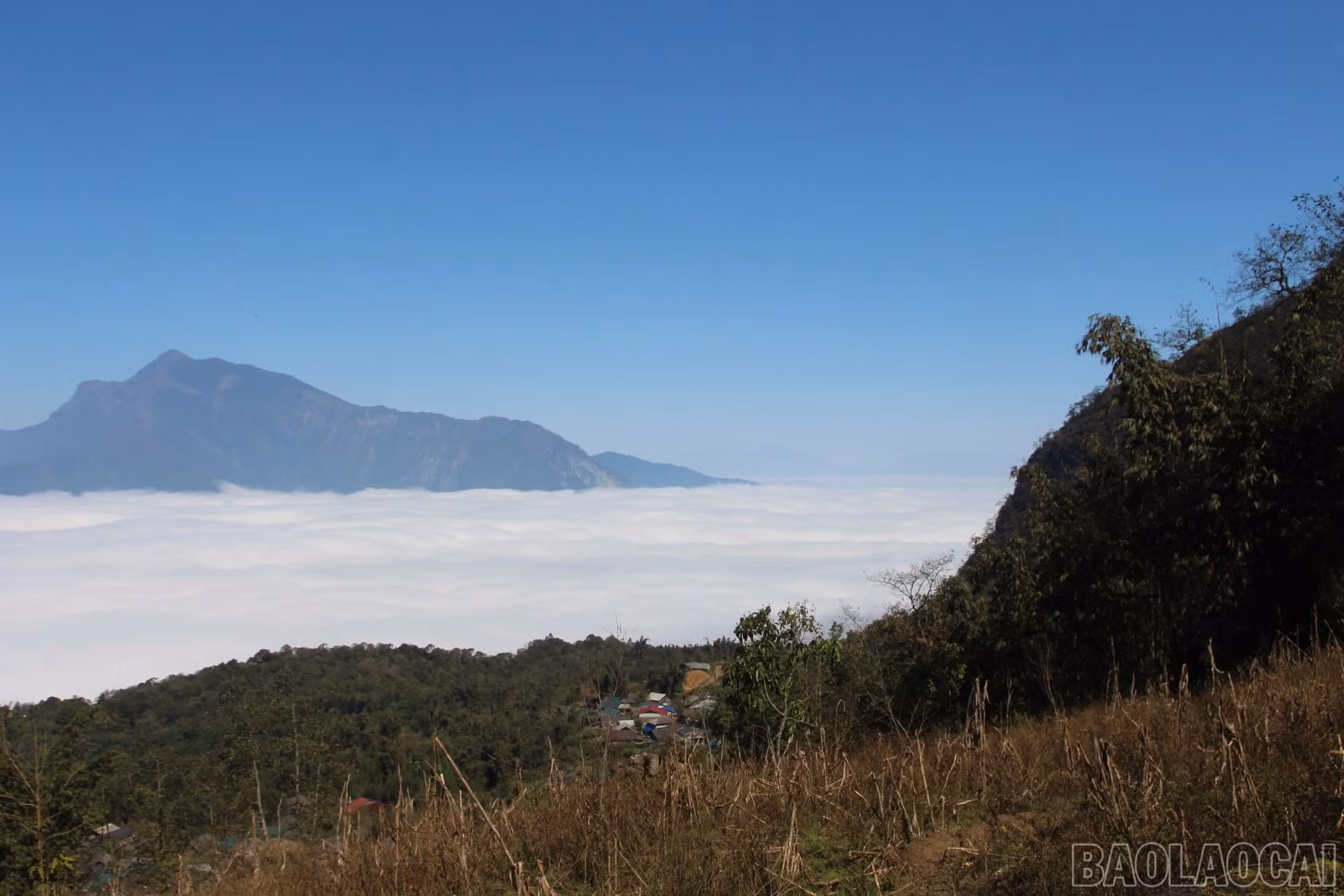 baolaocai-br_img-5019.jpg