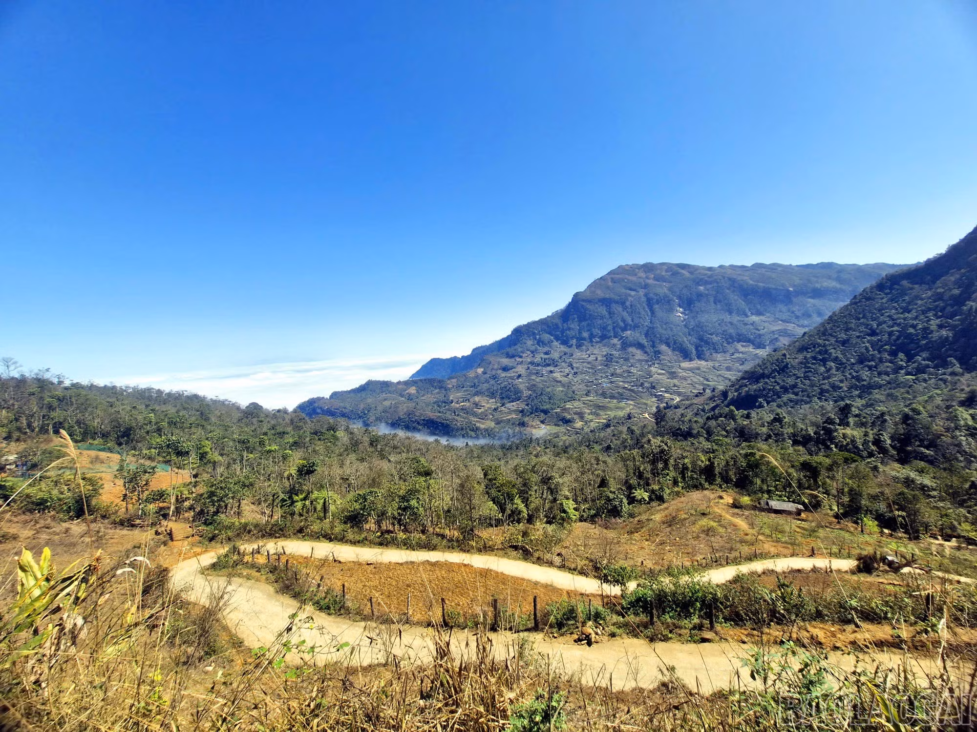 baolaocai-br_img-4987.jpg