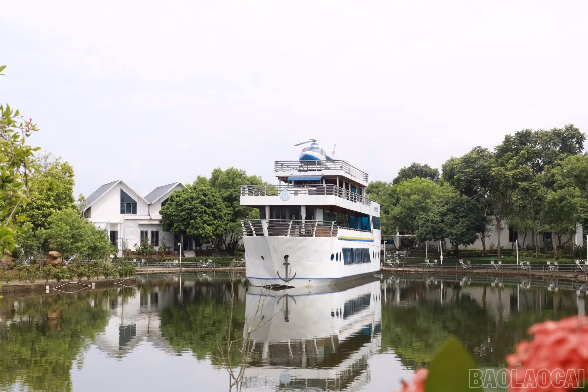 baolaocai-br_img-4949.jpg
