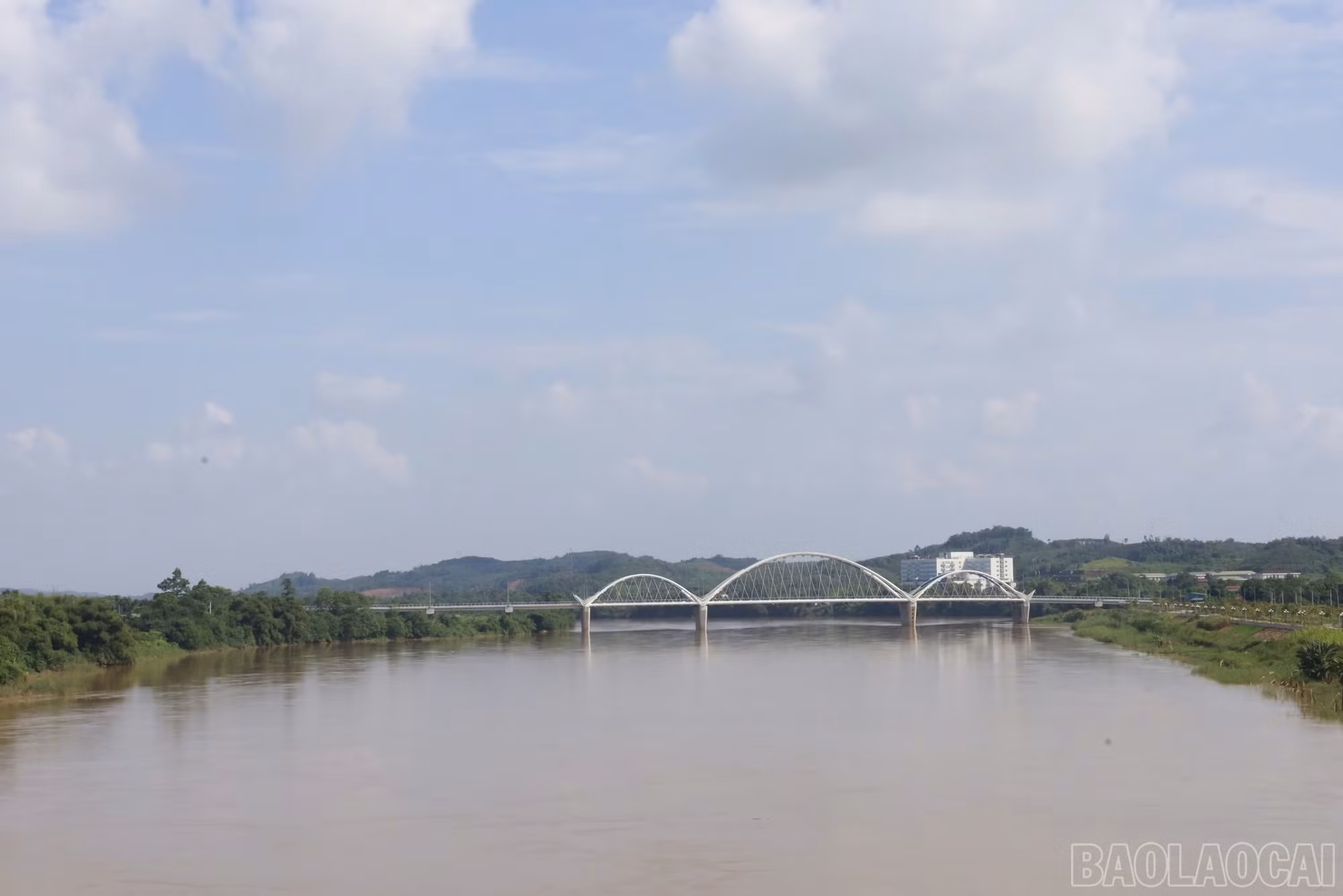baolaocai-br_img-4937.jpg