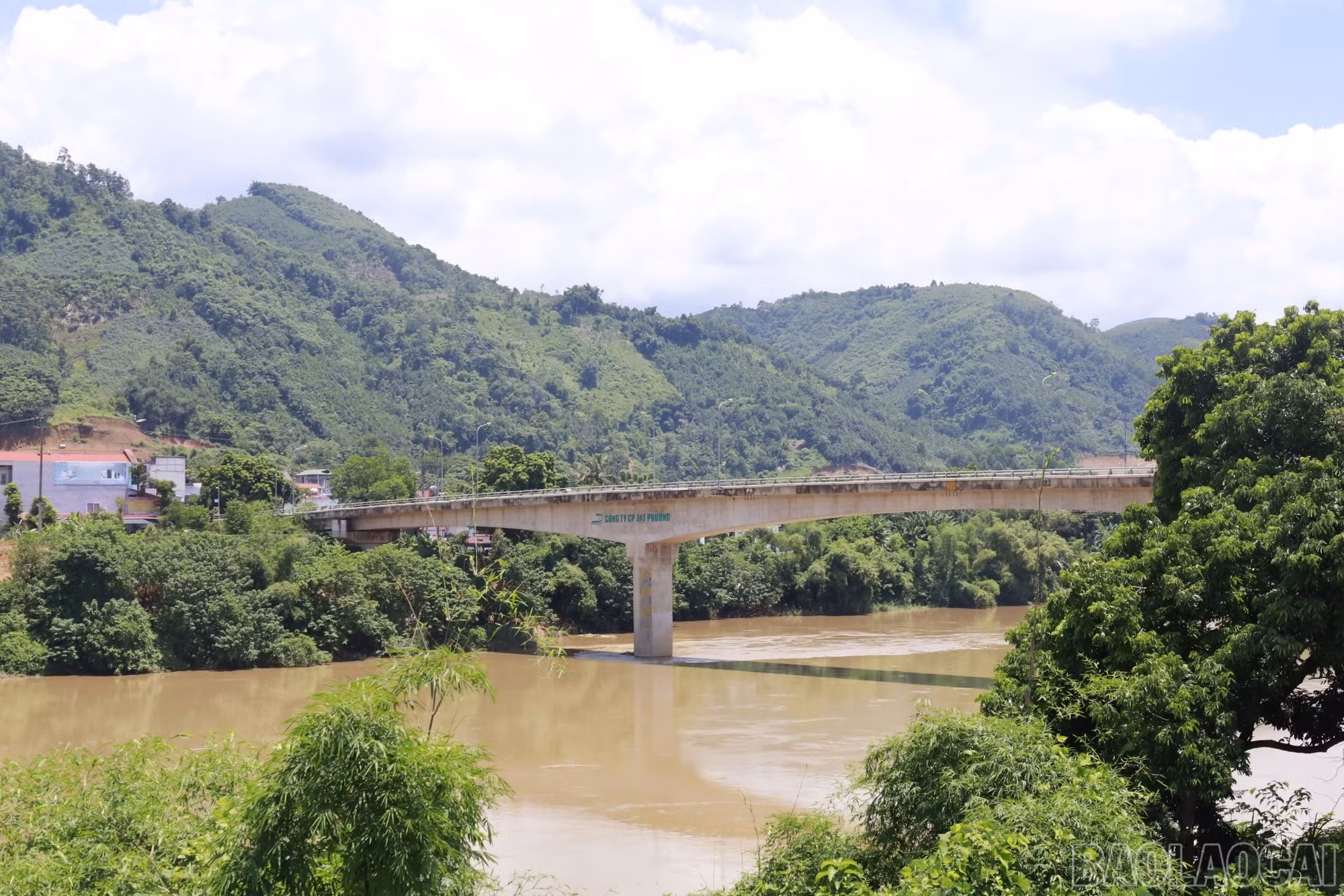 baolaocai-br_img-4966.jpg
