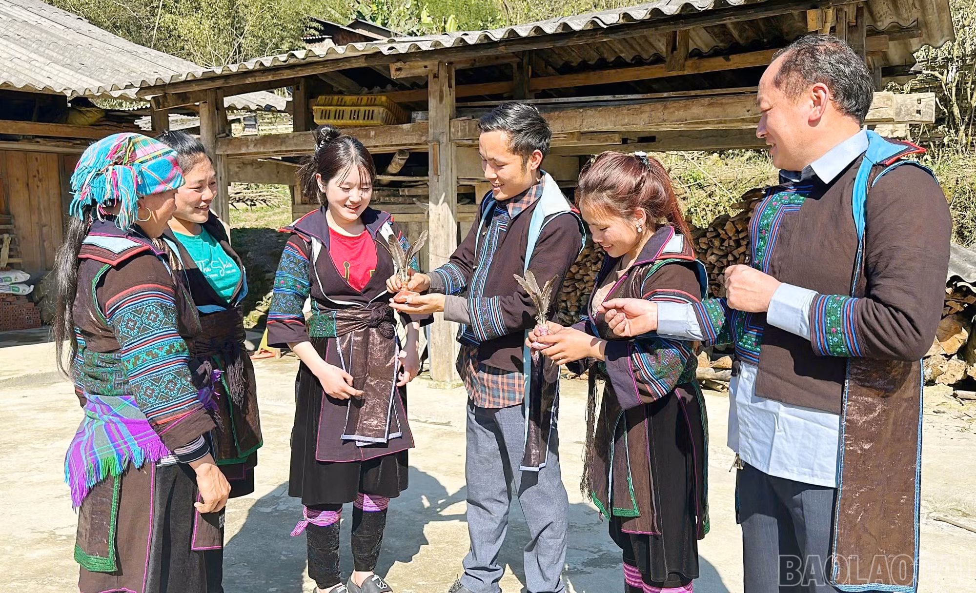 baolaocai-br_img-4982.jpg
