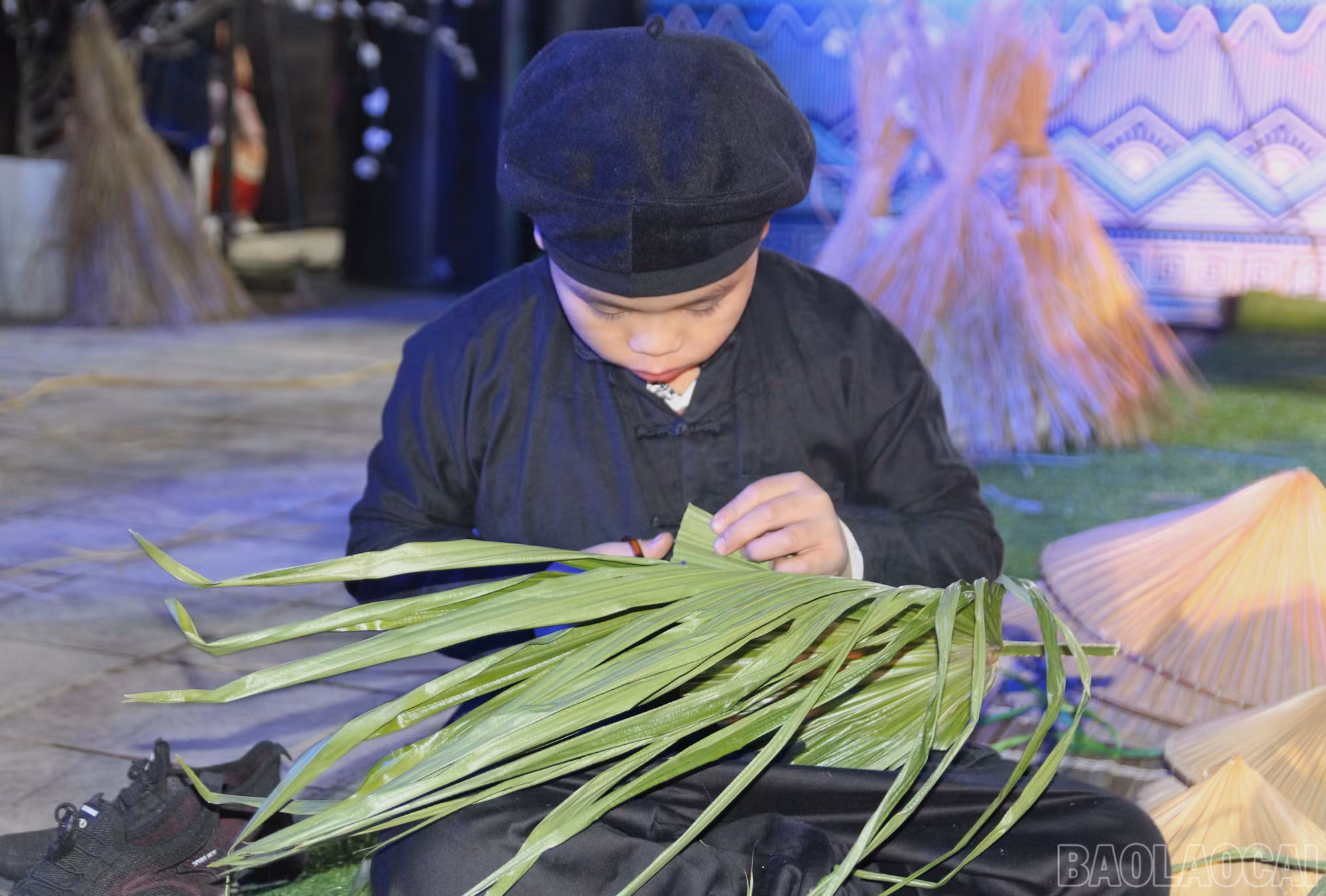 baolaocai-br_img-7978.jpg
