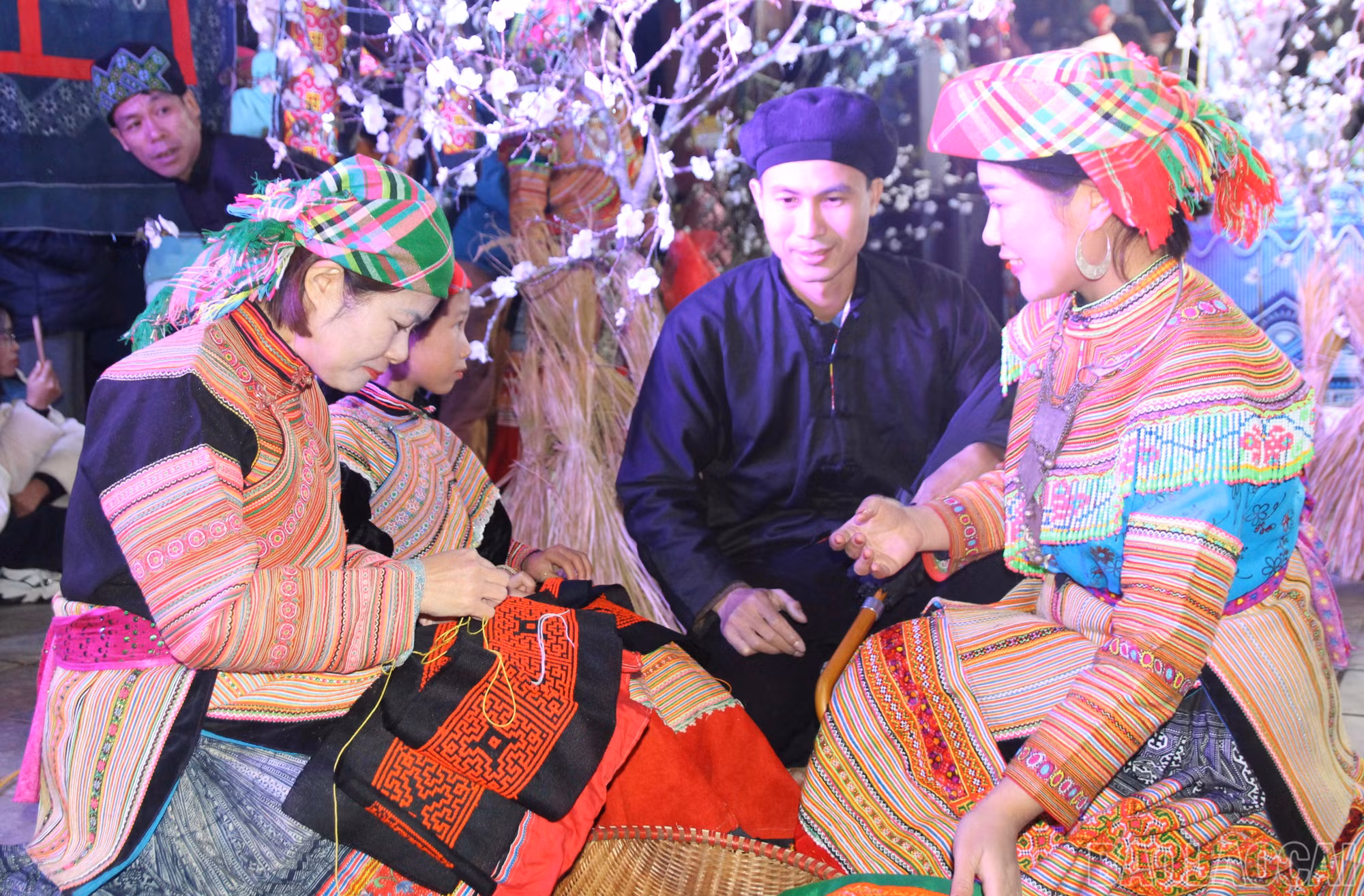baolaocai-br_img-8020.jpg