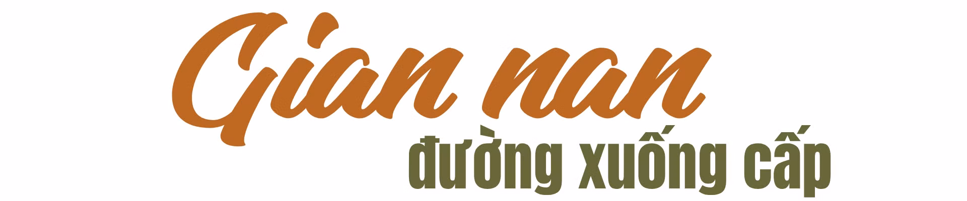14.png