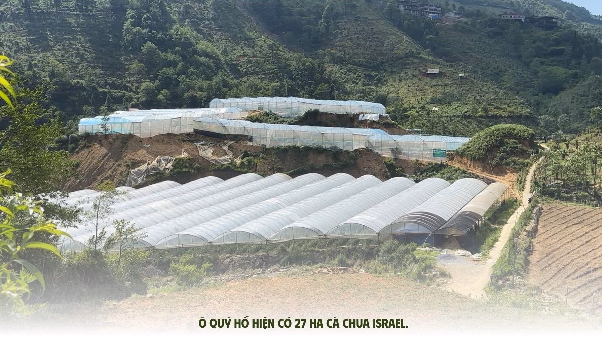 chia-khoa-lam-giau-cua-nong-dan-o-quy-ho-2528.jpg
