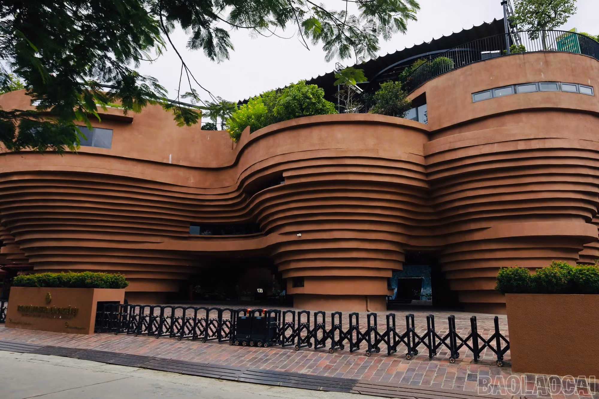 baolaocai-br_img-4645.jpg