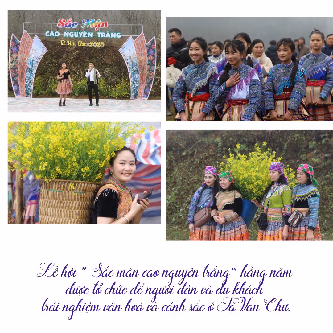 nhung-vuon-man-no-hoa-trang-muot-tro-thanh-diem-chup-anh-cho-du-khachzip-5.png