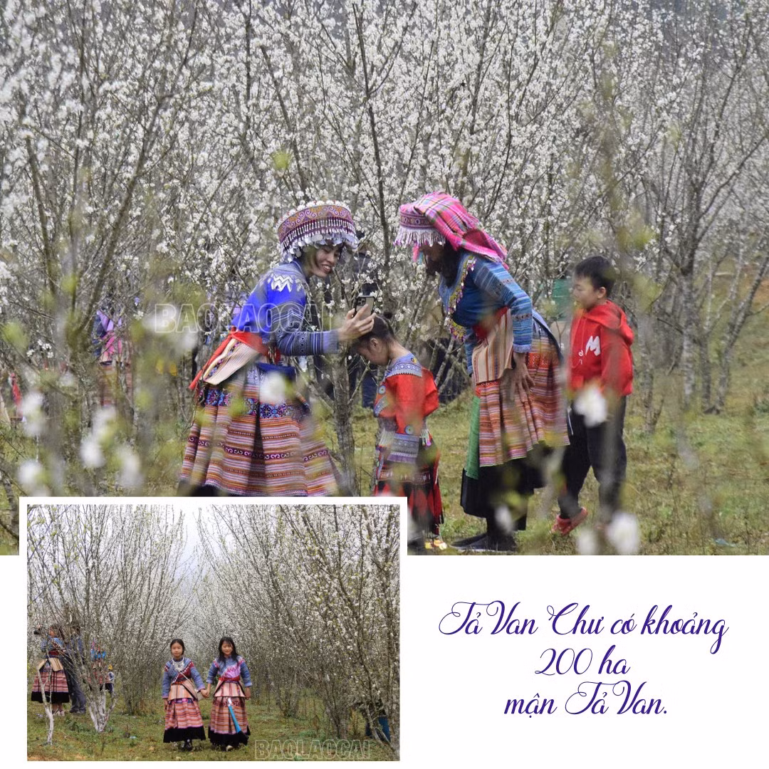 nhung-vuon-man-no-hoa-trang-muot-tro-thanh-diem-chup-anh-cho-du-khachzip-2.png
