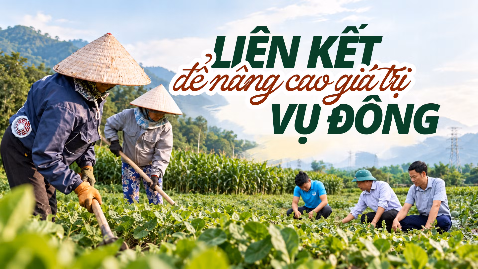 Liên kết để nâng giá trị vụ đông