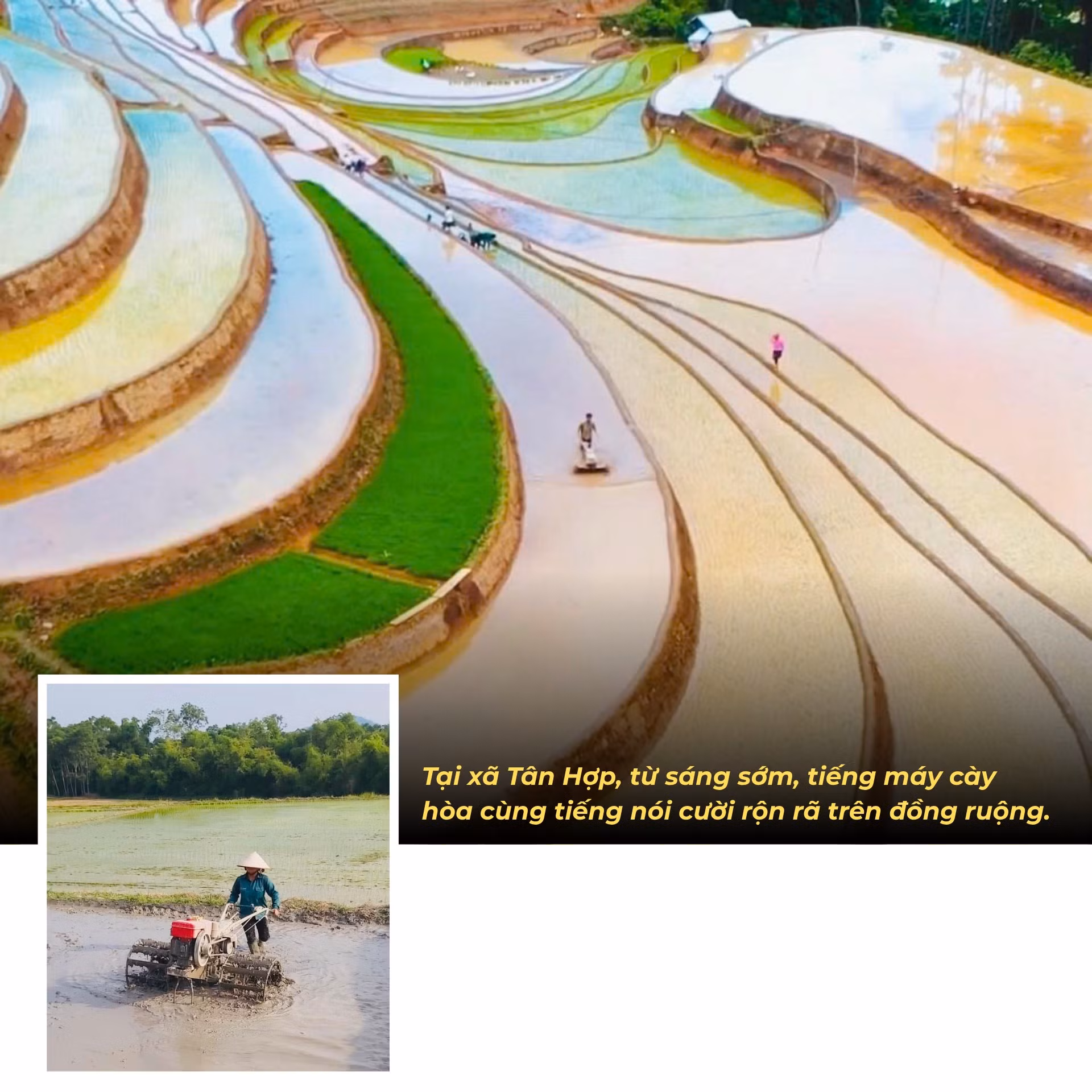 nong-dan-vao-vu-moi3.png