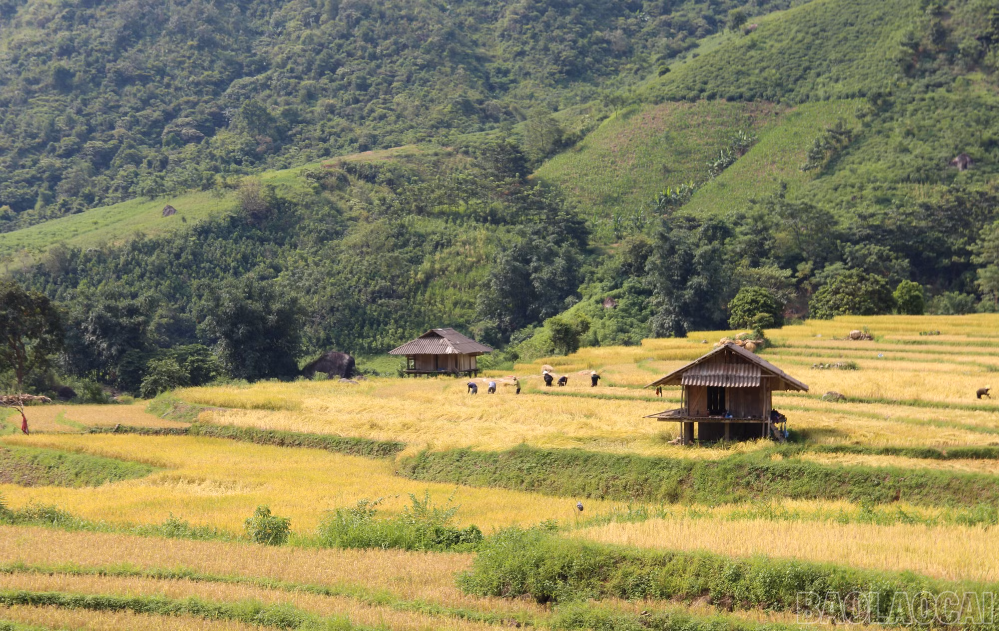 Kho "no ấm" dưới chân núi Sinh Tcha Pao