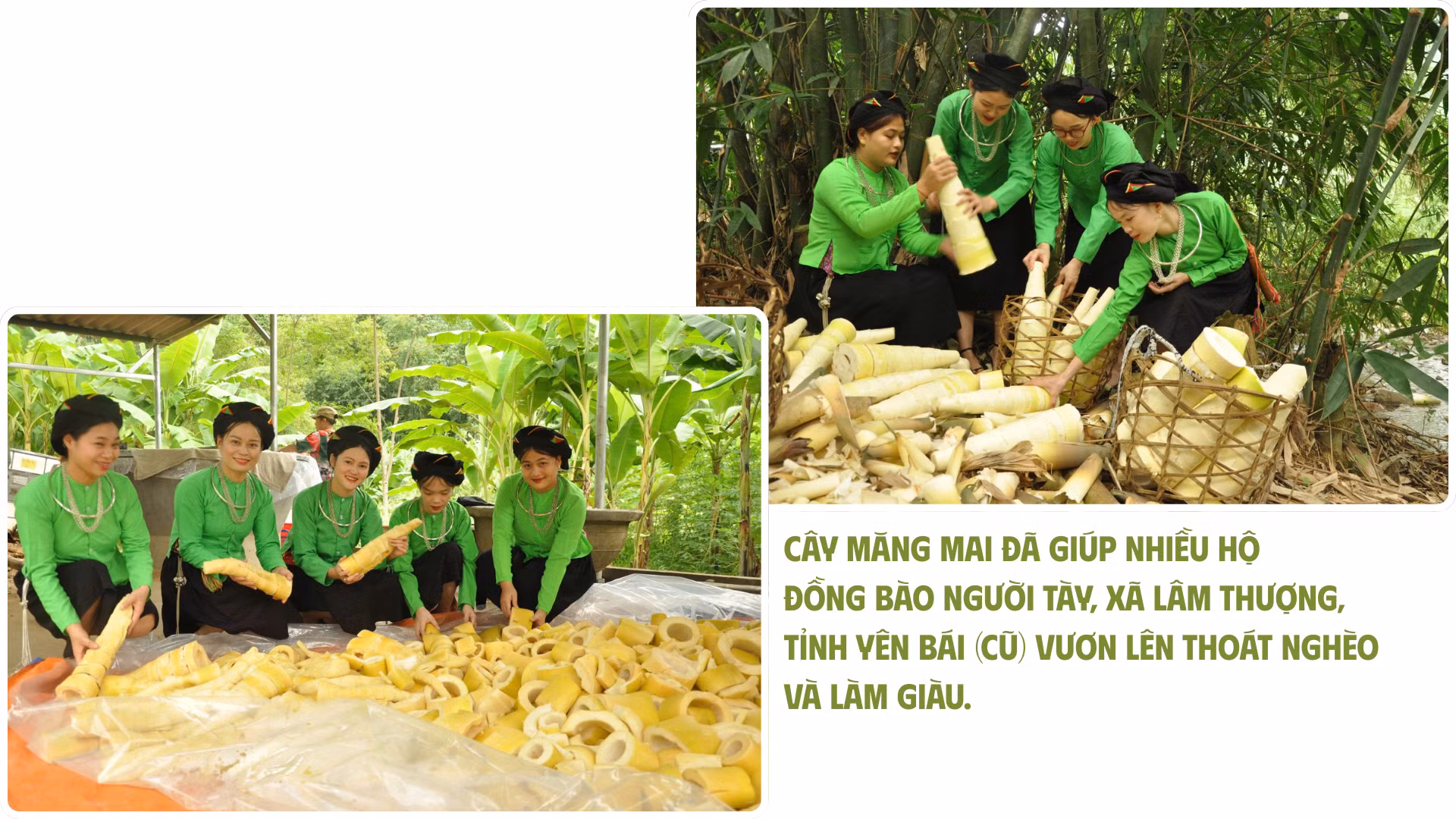 co-hoi-vang-de-phat-trien-kinh-te-nong-nghiep-3.png