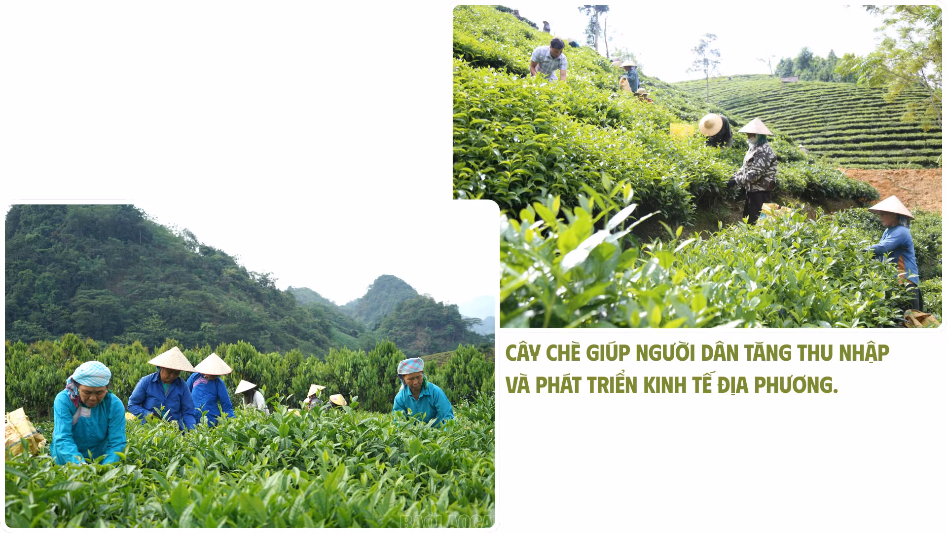 co-hoi-vang-de-phat-trien-kinh-te-nong-nghiep-2.png